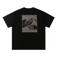 A29