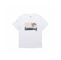 A28