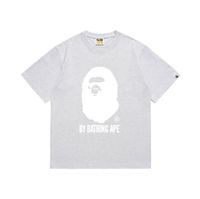 A13