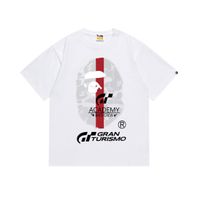 A3
